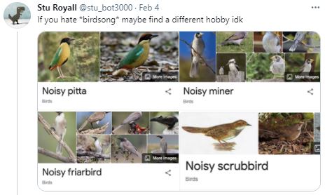 Birds - Ornithologists - Noisy Birds.JPG